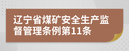 辽宁省煤矿安全生产监督管理条例第11条