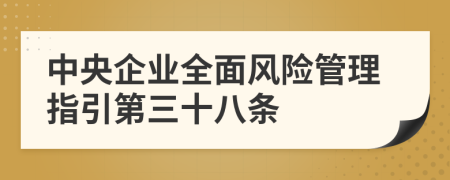 中央企业全面风险管理指引第三十八条