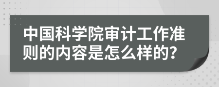 中国科学院审计工作准则的内容是怎么样的？