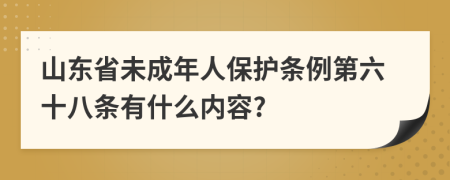 山东省未成年人保护条例第六十八条有什么内容?