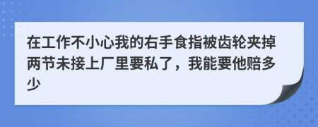 在工作不小心我的右手食指被齿轮夹掉两节未接上厂里要私了，我能要他赔多少