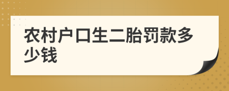 农村户口生二胎罚款多少钱