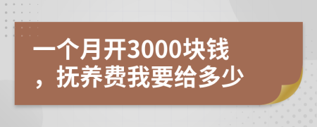 一个月开3000块钱，抚养费我要给多少