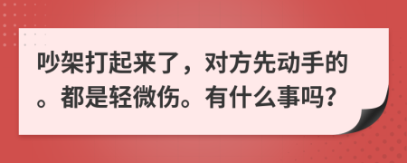 吵架打起来了，对方先动手的。都是轻微伤。有什么事吗？