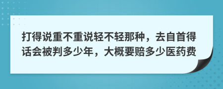 打得说重不重说轻不轻那种，去自首得话会被判多少年，大概要赔多少医药费