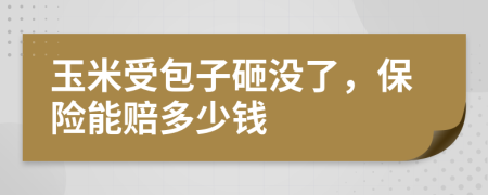 玉米受包子砸没了，保险能赔多少钱