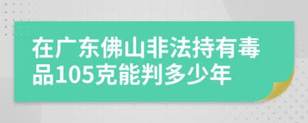 在广东佛山非法持有毒品105克能判多少年