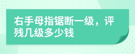 右手母指锯断一级，评残几级多少钱