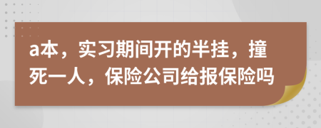 a本，实习期间开的半挂，撞死一人，保险公司给报保险吗