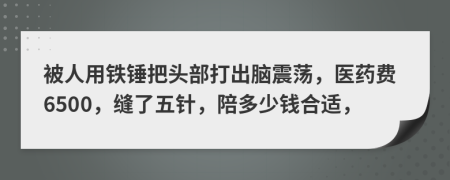 被人用铁锤把头部打出脑震荡，医药费6500，缝了五针，陪多少钱合适，