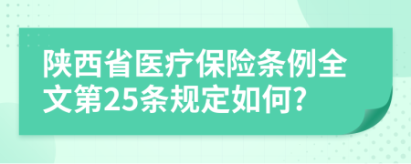 陕西省医疗保险条例全文第25条规定如何?