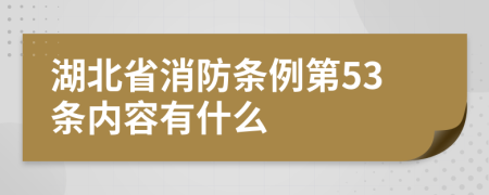 湖北省消防条例第53条内容有什么