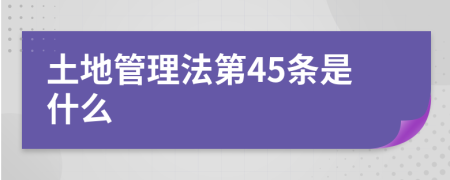 土地管理法第45条是什么