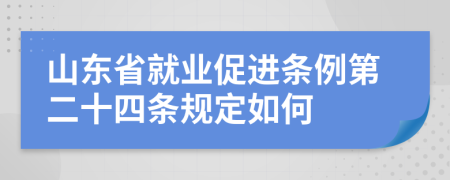 山东省就业促进条例第二十四条规定如何