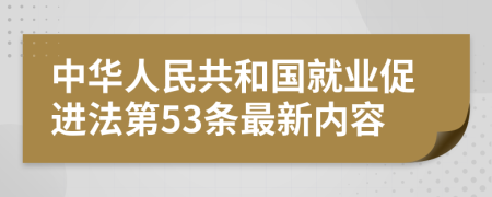 中华人民共和国就业促进法第53条最新内容