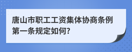 唐山市职工工资集体协商条例第一条规定如何?