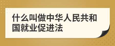 什么叫做中华人民共和国就业促进法