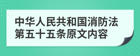 中华人民共和国消防法第五十五条原文内容