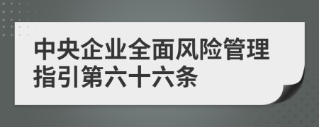 中央企业全面风险管理指引第六十六条