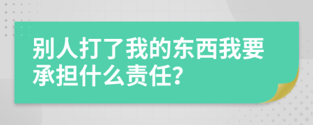 别人打了我的东西我要承担什么责任？