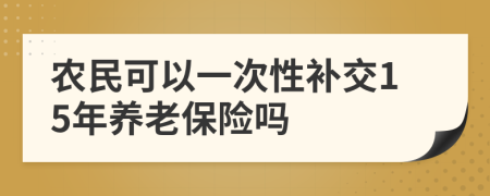 农民可以一次性补交15年养老保险吗