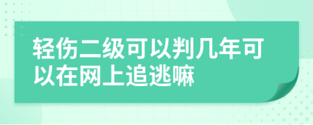 轻伤二级可以判几年可以在网上追逃嘛