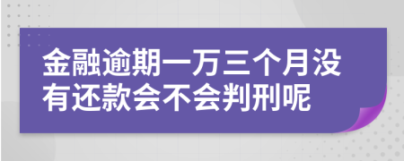 金融逾期一万三个月没有还款会不会判刑呢