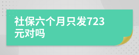 社保六个月只发723元对吗