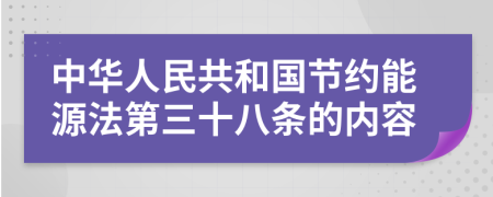 中华人民共和国节约能源法第三十八条的内容