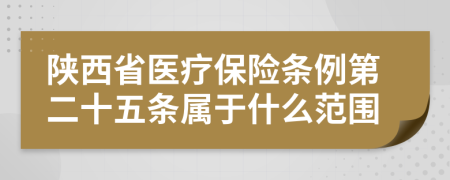 陕西省医疗保险条例第二十五条属于什么范围