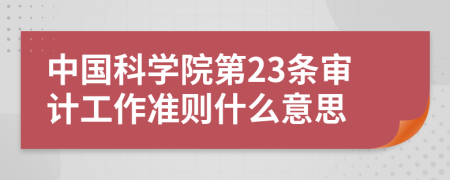 中国科学院第23条审计工作准则什么意思