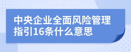 中央企业全面风险管理指引16条什么意思