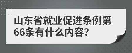 山东省就业促进条例第66条有什么内容？