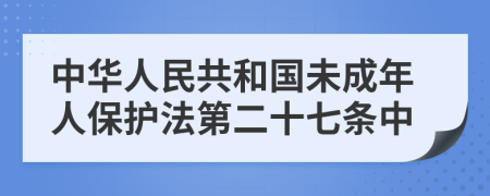 中华人民共和国未成年人保护法第二十七条中