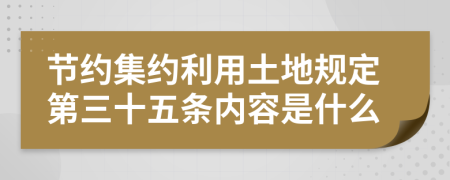 节约集约利用土地规定第三十五条内容是什么