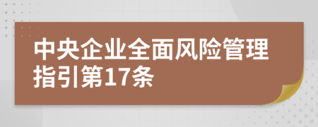 中央企业全面风险管理指引第17条