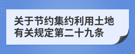 关于节约集约利用土地有关规定第二十九条