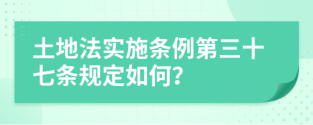 土地法实施条例第三十七条规定如何？