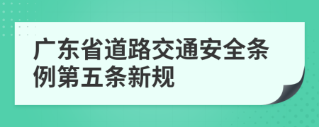 广东省道路交通安全条例第五条新规