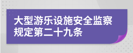 大型游乐设施安全监察规定第二十九条