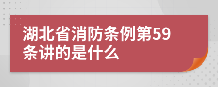 湖北省消防条例第59条讲的是什么