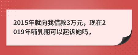 2015年就向我借款3万元，现在2019年哺乳期可以起诉她吗，