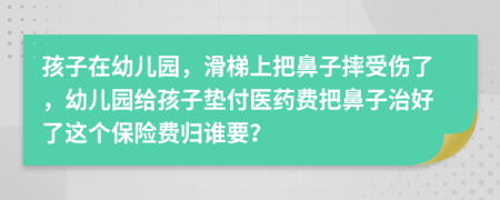 孩子在幼儿园，滑梯上把鼻子摔受伤了，幼儿园给孩子垫付医药费把鼻子治好了这个保险费归谁要？