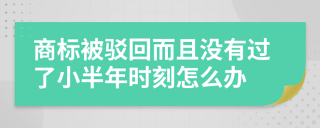 商标被驳回而且没有过了小半年时刻怎么办