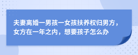 夫妻离婚一男孩一女孩扶养权归男方，女方在一年之内，想要孩子怎么办