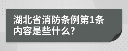 湖北省消防条例第1条内容是些什么?