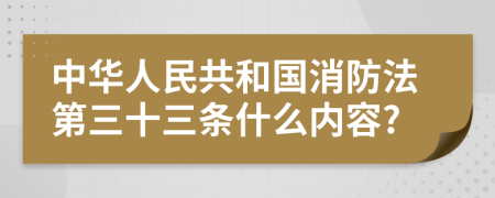 中华人民共和国消防法第三十三条什么内容?