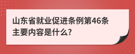 山东省就业促进条例第46条主要内容是什么?