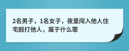 2名男子，1名女子，夜里闯入他人住宅殴打他人，属于什么罪