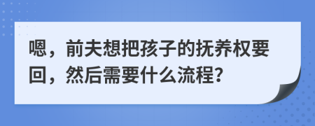 嗯，前夫想把孩子的抚养权要回，然后需要什么流程？